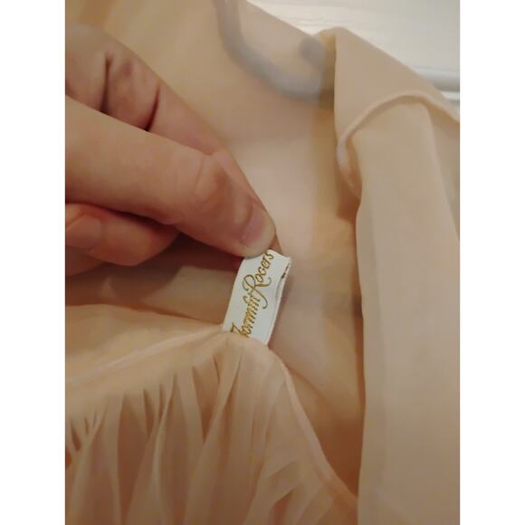 Vintage Pink Nightgown Formfit Rogers Sheer Nightie - Picture 3 of 5